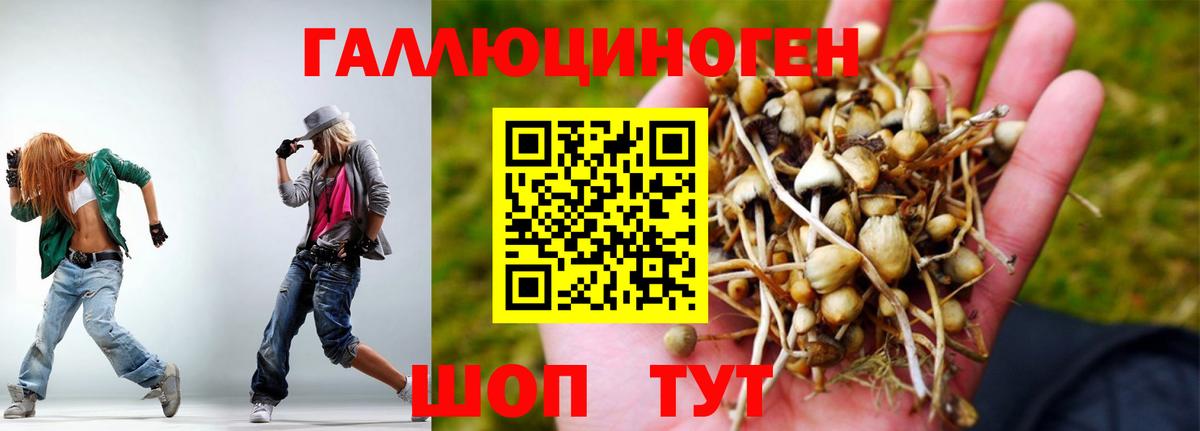 Галлюциногенные грибы Magic Shrooms  Вход с VPN  Острогожск  Псилоцибиновые грибы ЛСД 